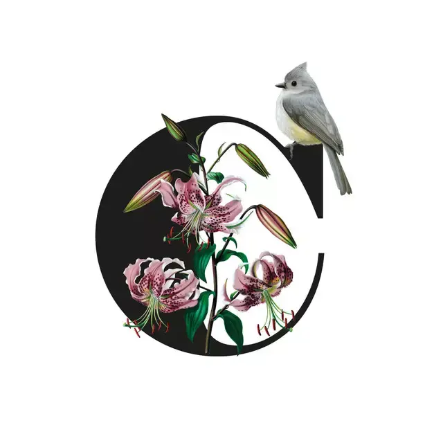 Botanical Alphabet C