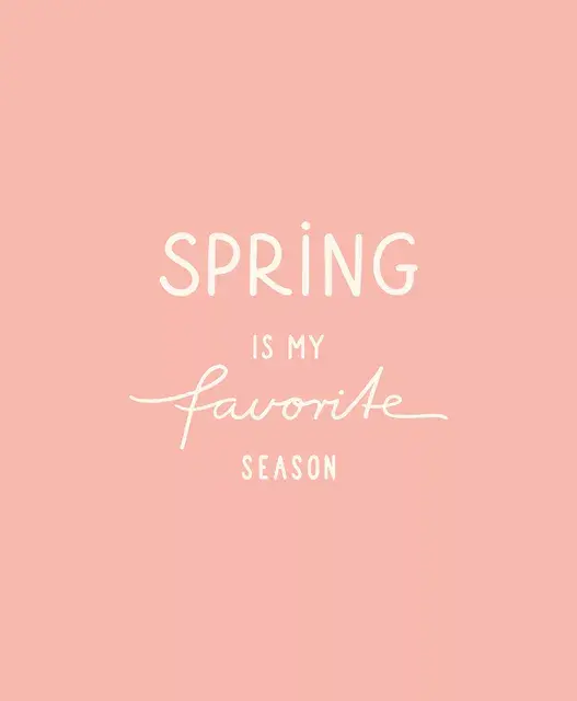 Spring Frühling rosa beige