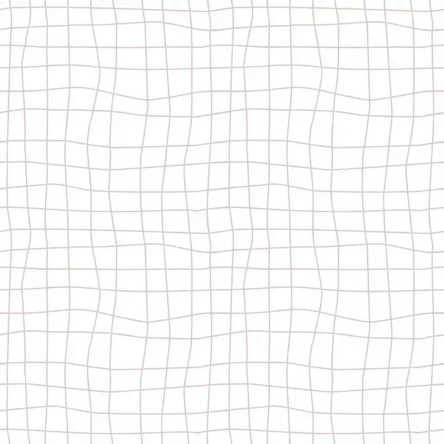 Grid Klein Nude Hell