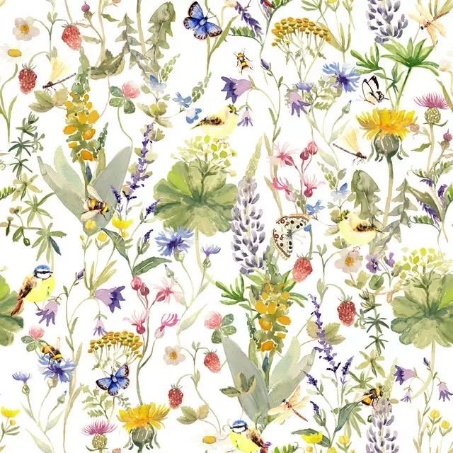 Bunte Wild- und Wiesenblumen