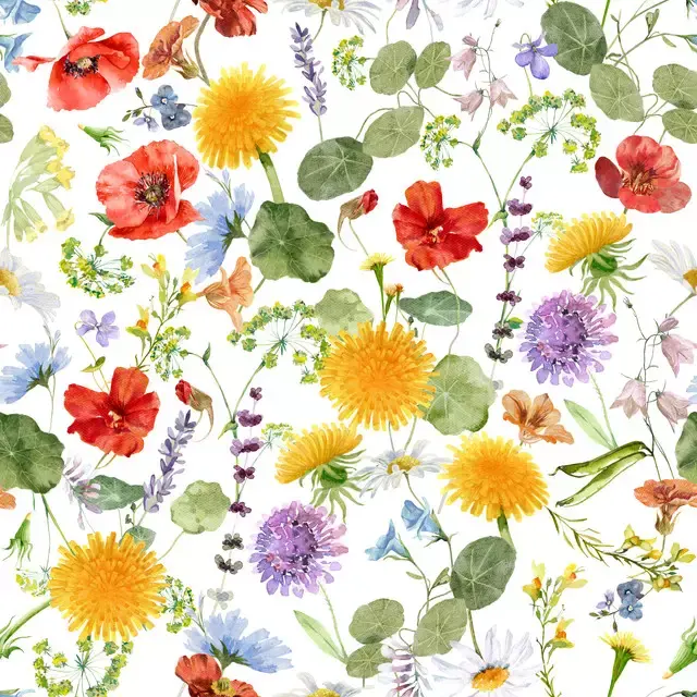 Bunter Wildblumen Garten