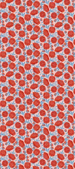 Pfingstrosen Rot Rosa Blau
