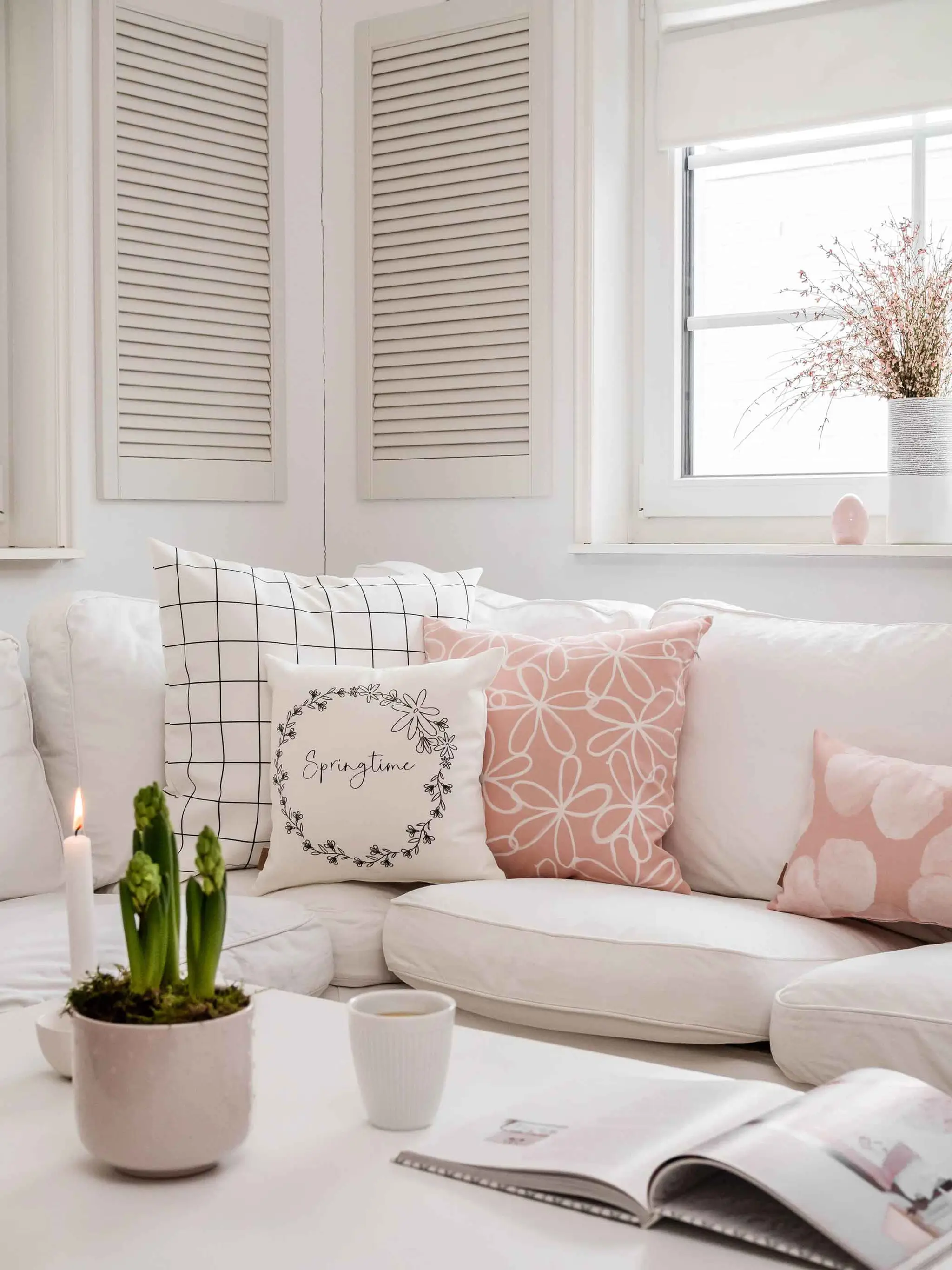 Rosa Oster-Highlights