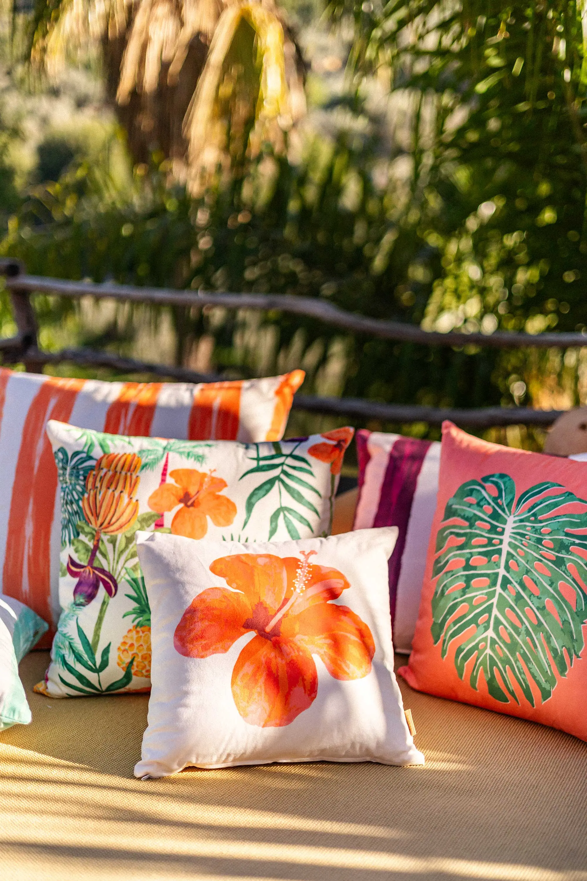 Tropical Dream