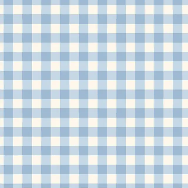 Kissen Vichykaro Nebelblau