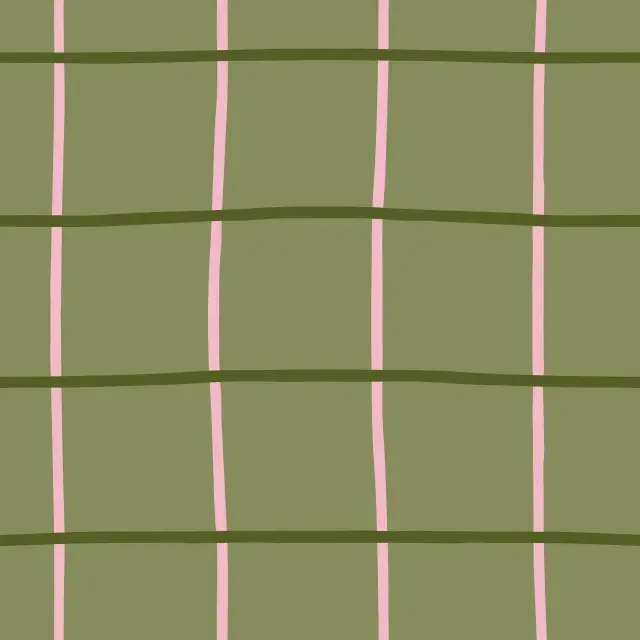 Kissen Checks & Lines oliv rosa