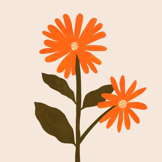 Kissen Herbstblume