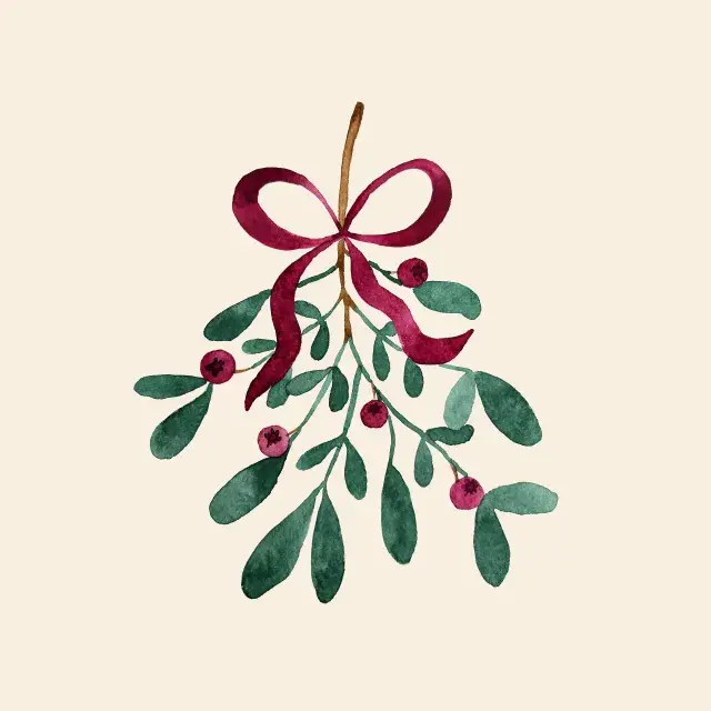 Kissen Berry Mistletoe