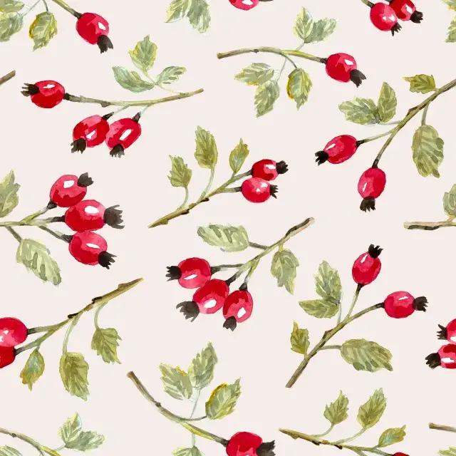 Kissen Wild Rosehip Branches
