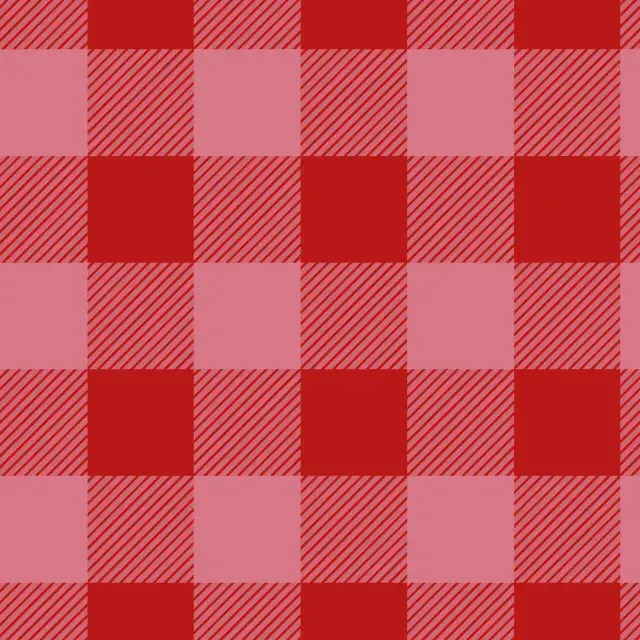 Kissen Picnic Karo Rosarot Groß