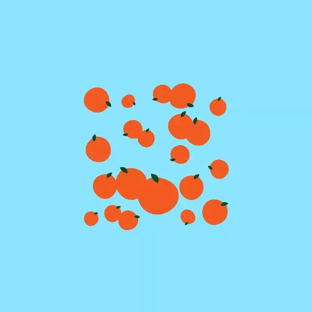 Kissen Orangen von Mallorca