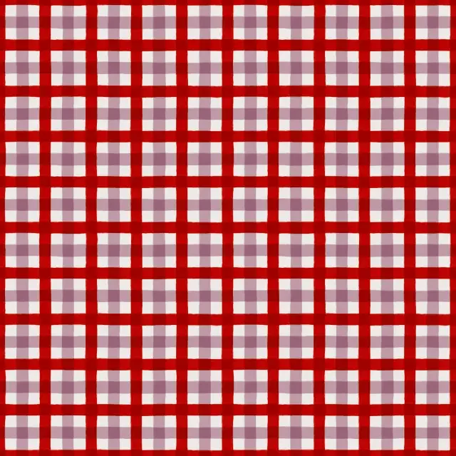 Kissen Karo Pattern