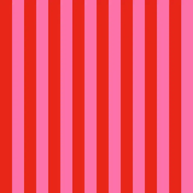 Kissen Stripes Red Pink