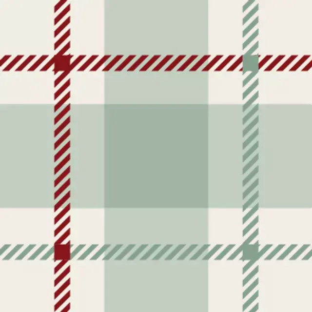 Kissen Wichtel Plaid hellgrün