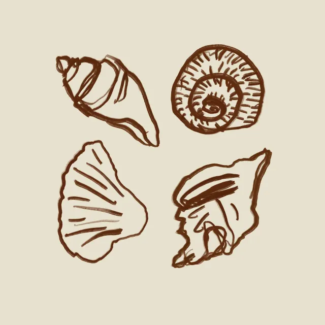 Kissen Shells Outline Red