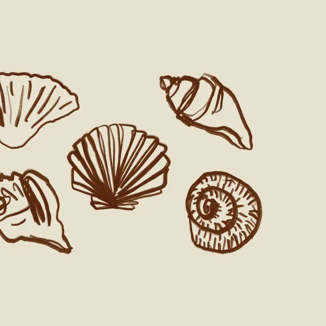 Kissen Shells Outline Red