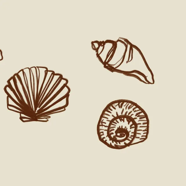 Kissen Shells Outline Red