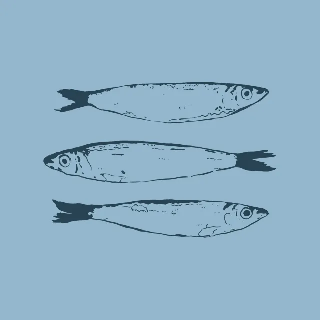 Kissen Santorini Sardine Fish
