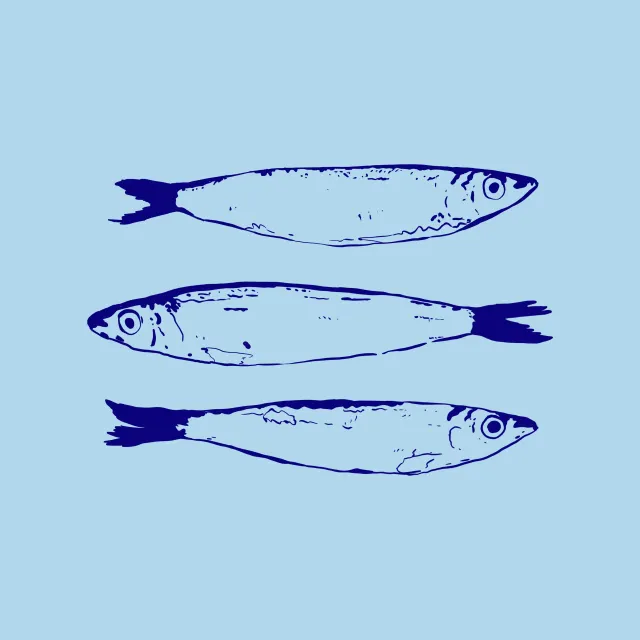 Kissen Santorini Sardine Fish