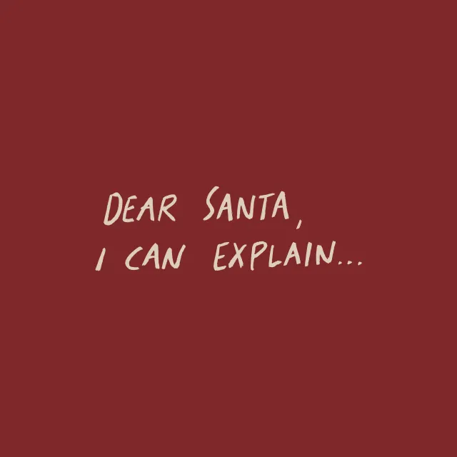 Bettwäsche Dear Santa, I Can Explain...