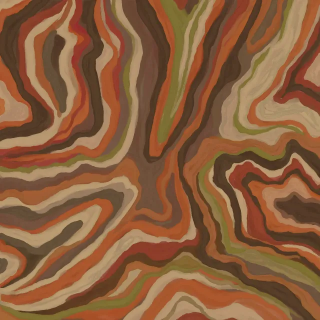 Kissen Wavy Earth