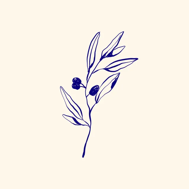 Bettwäsche Santorini Olive Branch
