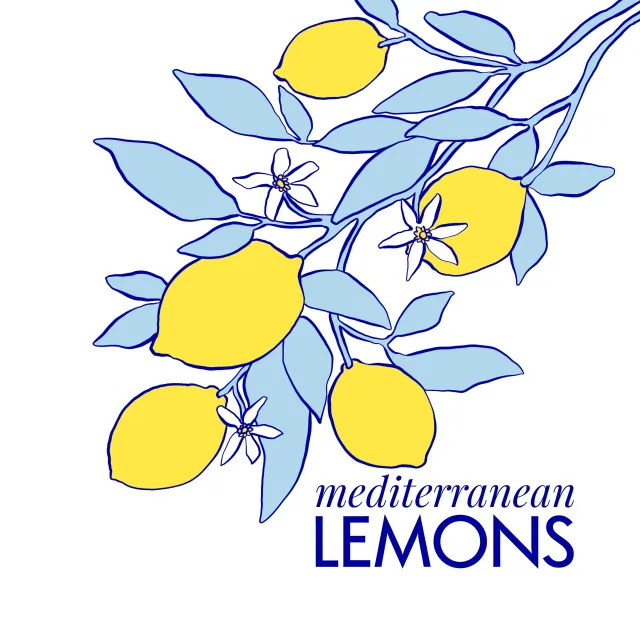 Kissen Mediterranean Lemons