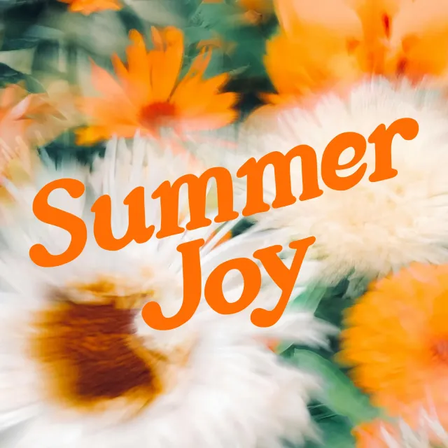 Kissen Summer Joy Flower Photo