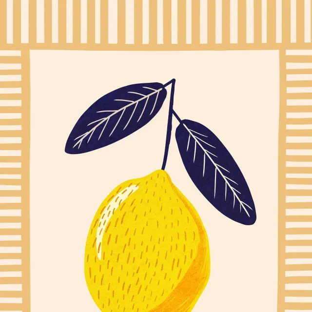 Geschirrtücher Summervibes-Limon