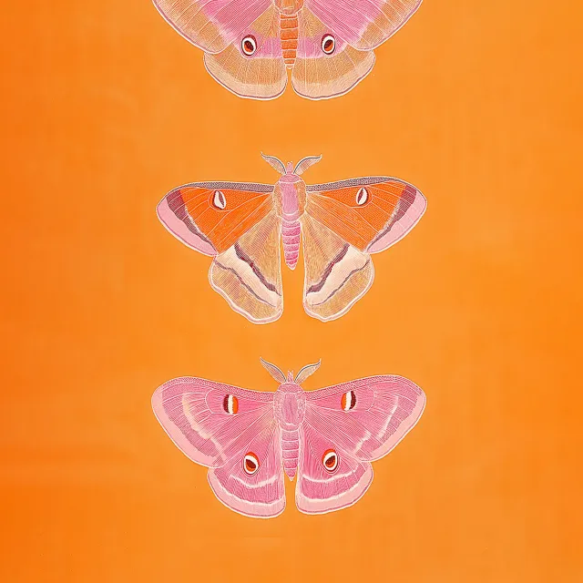 Tischset Butterfly orange