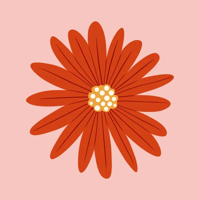Sitzkissen Herbst Aster Blume Rot
