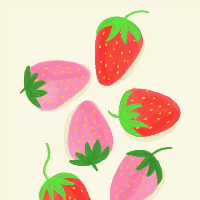 Geschirrtücher Erdbeeren