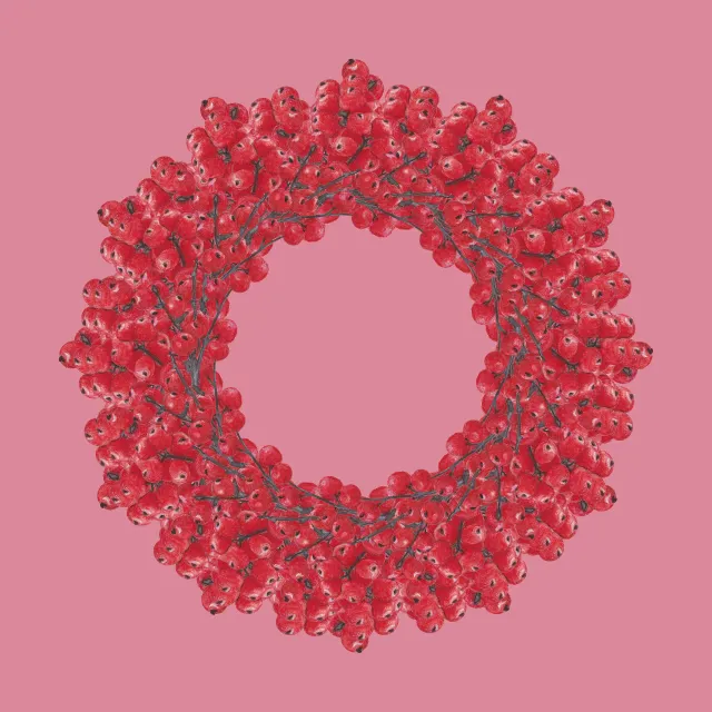 rosa