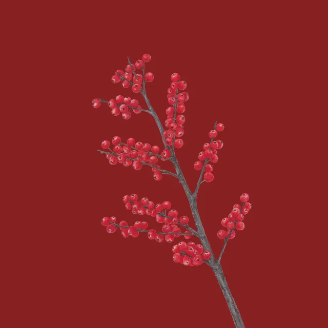 weinrot