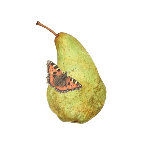 Geschirrtücher weiß