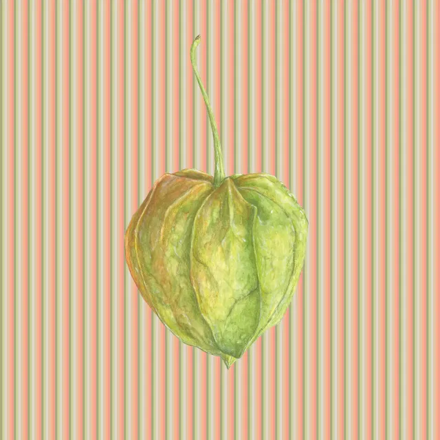 Kissen orange