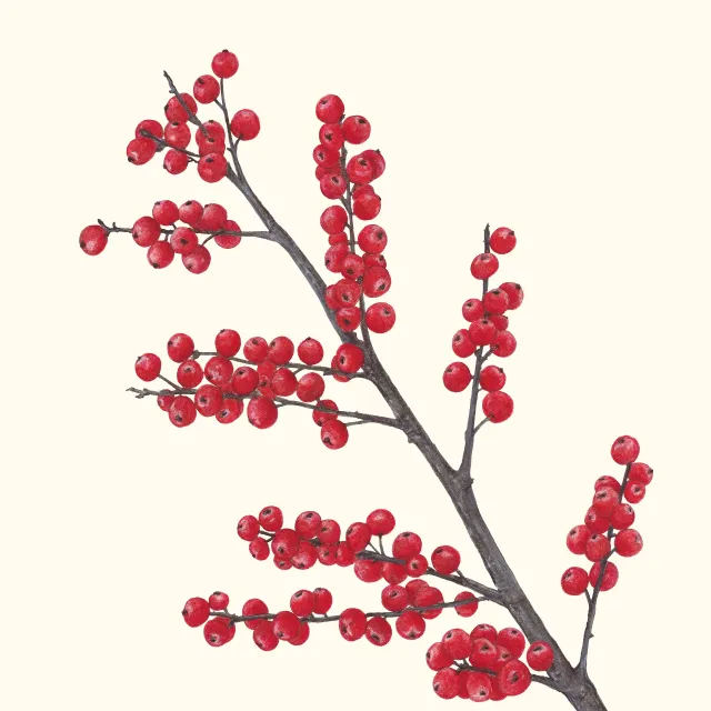 Kissen creme-weiss