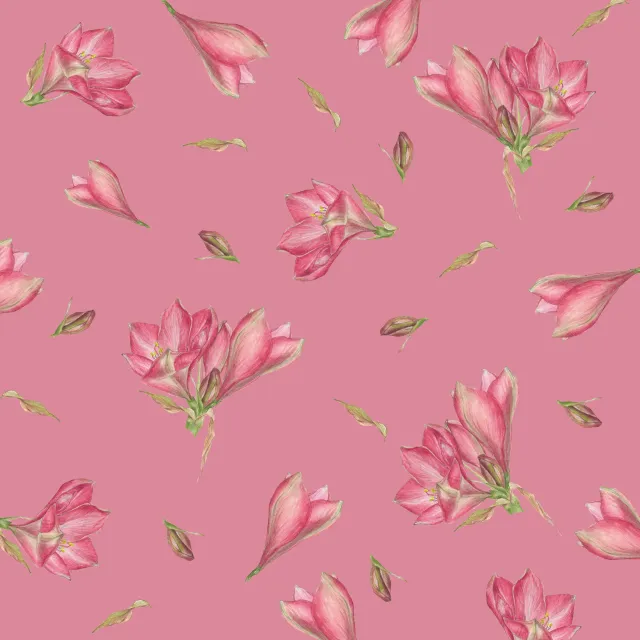 rosa