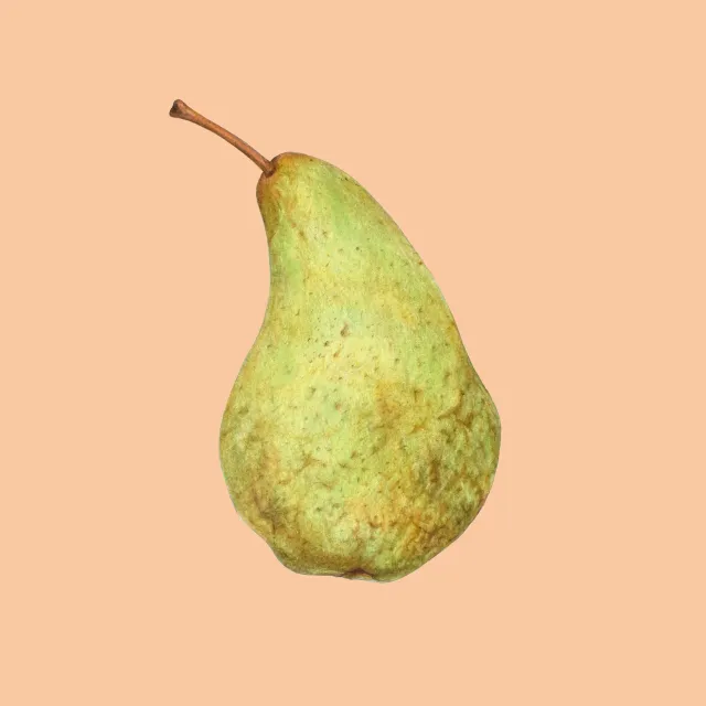 Sitzkissen orange