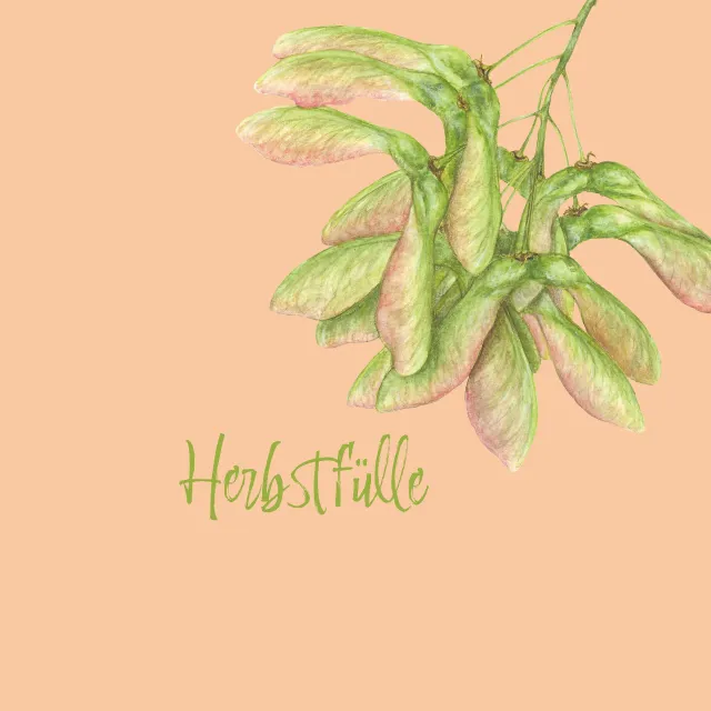 Herbstfülle