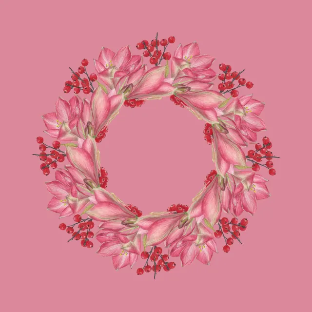 rosa