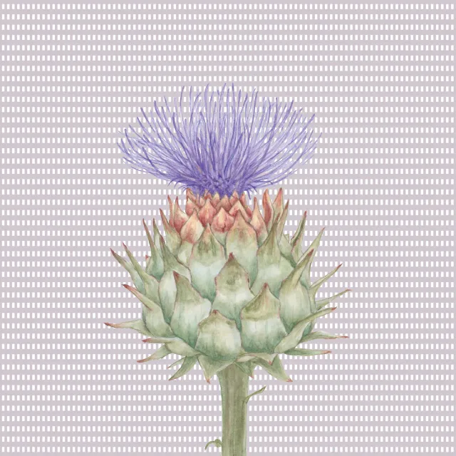 Servietten Karo Violett