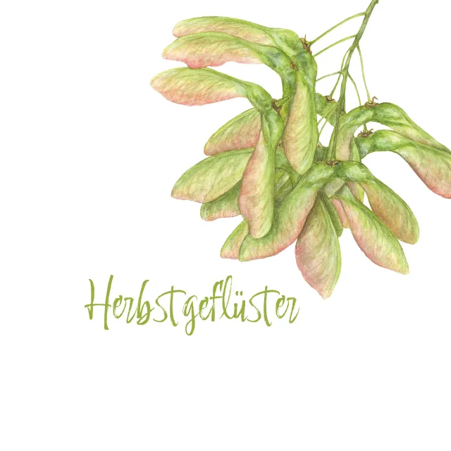 Geschirrtücher Herbstgeflüster - weiß