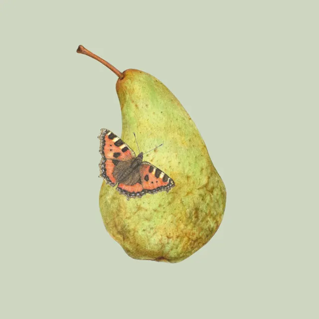 grün