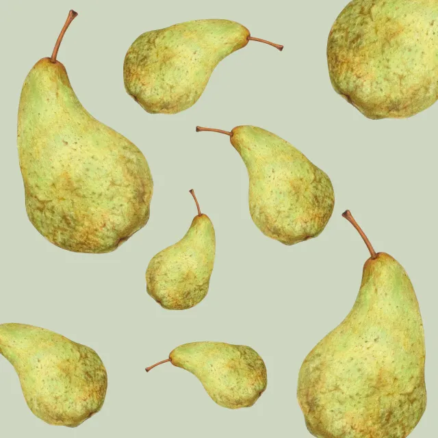 Kissen eukalyptus