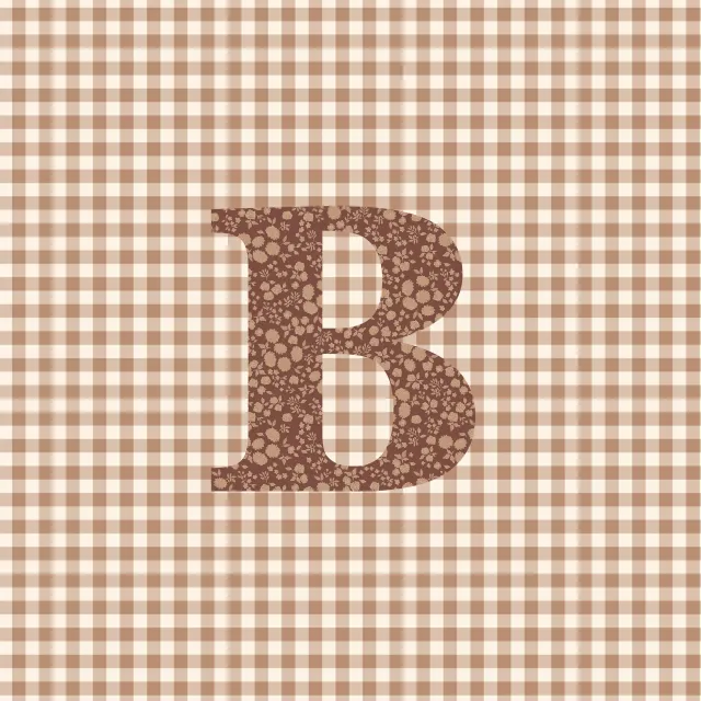 Kissen B Buchstabenkissen B Autumn Hygge