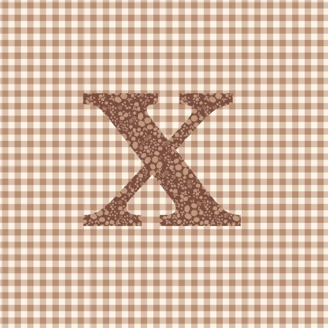 Kissen X Buchstabenkissen X Autumn Hygge