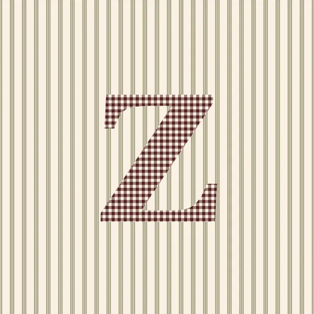 Z Winter Cottage