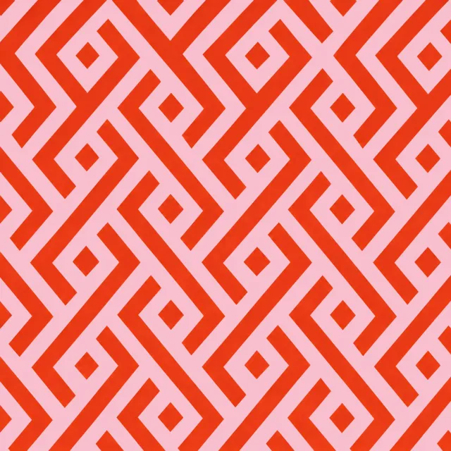Rot x Rosa