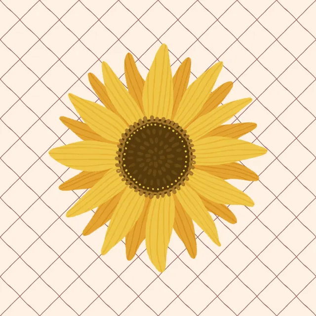Sunflower-Love